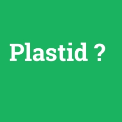 Plastid