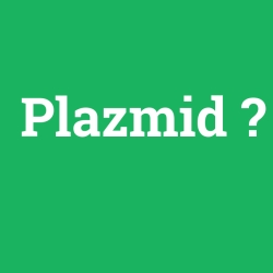 Plazmid