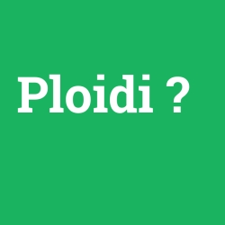 Ploidi