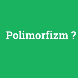 Polimorfizm