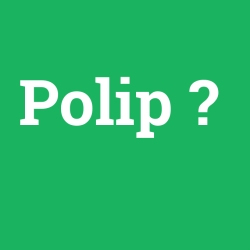 Polip foto galeri