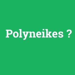 Polyneikes