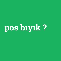pos bıyık