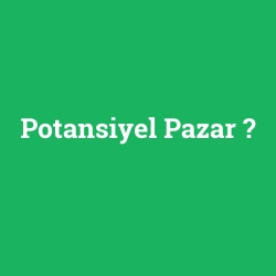 Potansiyel Pazar