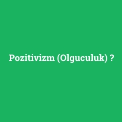 Pozitivizm (Olguculuk)