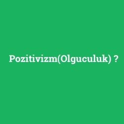 Pozitivizm(Olguculuk)