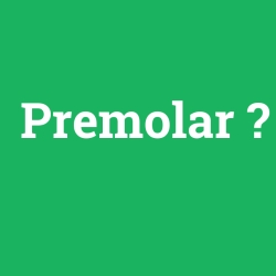 Premolar