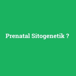 Prenatal Sitogenetik