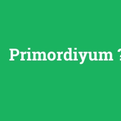 Primordiyum