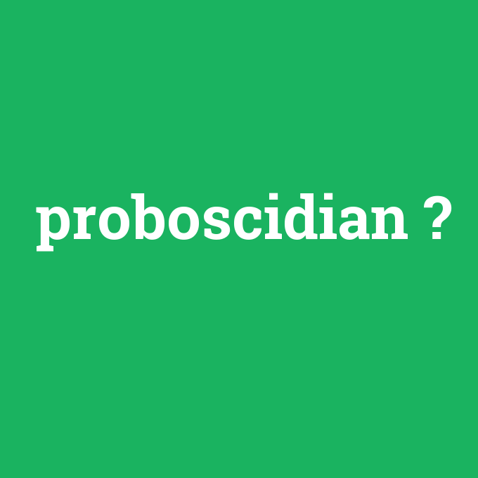proboscidian, proboscidian nedir ,proboscidian ne demek