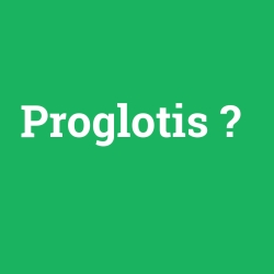 Proglotis