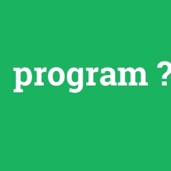 program