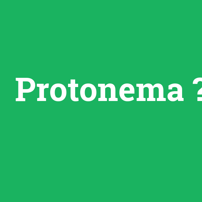 Protonema, Protonema nedir ,Protonema ne demek