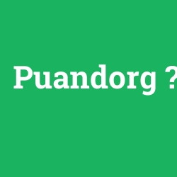Puandorg