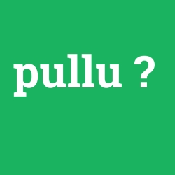 pullu