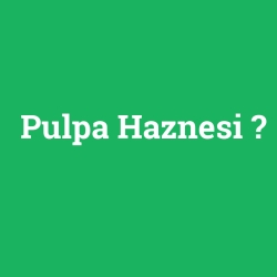Pulpa Haznesi
