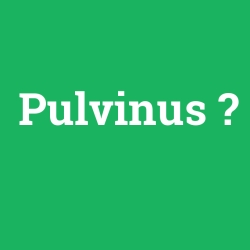 Pulvinus foto galeri