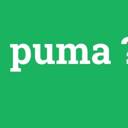 puma foto galeri