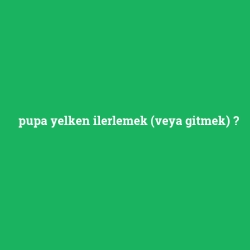 pupa yelken ilerlemek (veya gitmek) foto galeri