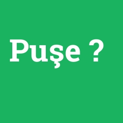 Puşe