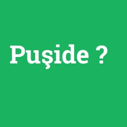 Puşide