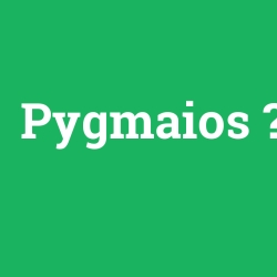 Pygmaios