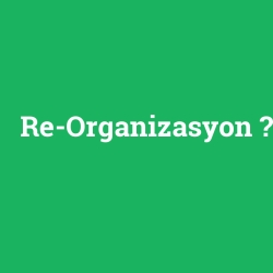Re-Organizasyon