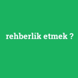 rehberlik etmek
