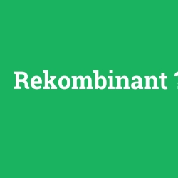 Rekombinant