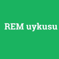 REM uykusu