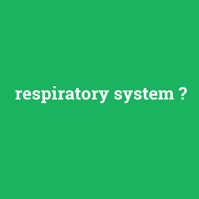 respiratory system, respiratory system nedir ,respiratory system ne demek