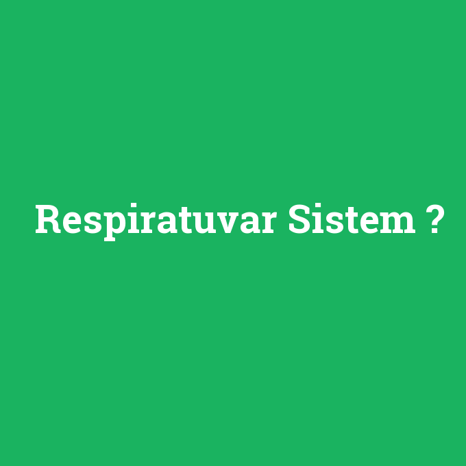 Respiratuvar Sistem, Respiratuvar Sistem nedir ,Respiratuvar Sistem ne demek