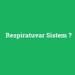 Respiratuvar Sistem