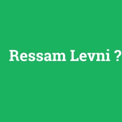 Ressam Levni