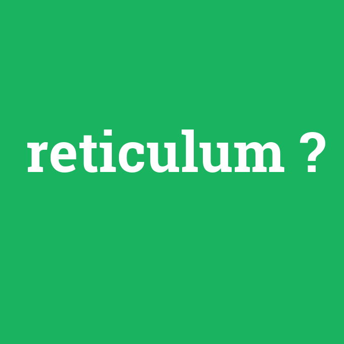 reticulum, reticulum nedir ,reticulum ne demek