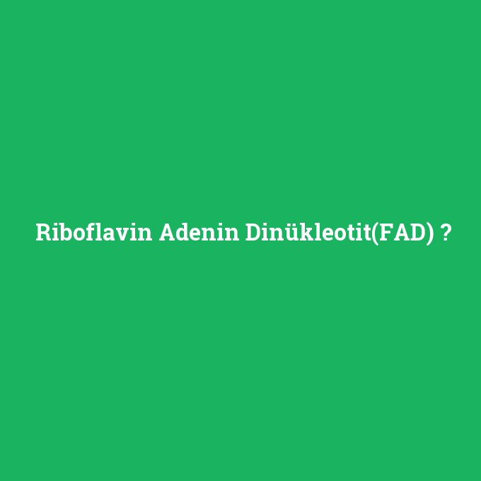 Riboflavin Adenin Dinükleotit(FAD), Riboflavin Adenin Dinükleotit(FAD) nedir ,Riboflavin Adenin Dinükleotit(FAD) ne demek