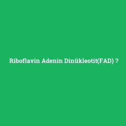 Riboflavin Adenin Dinükleotit(FAD)