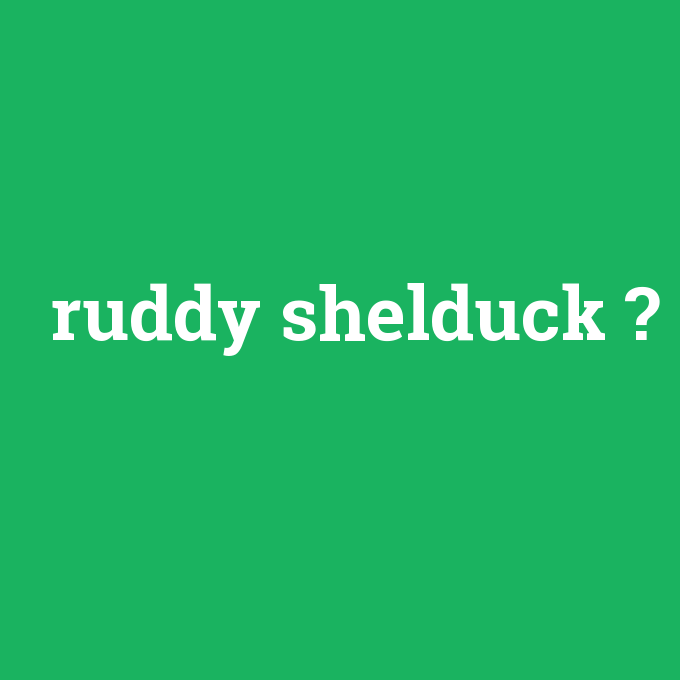 ruddy shelduck, ruddy shelduck nedir ,ruddy shelduck ne demek