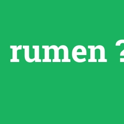 rumen