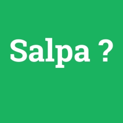 Salpa