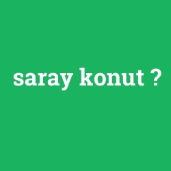 saray konut