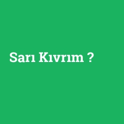 Sarı Kıvrım