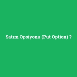 Satım Opsiyonu (Put Option)