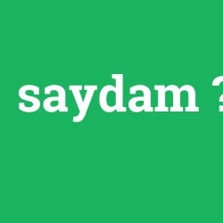 saydam