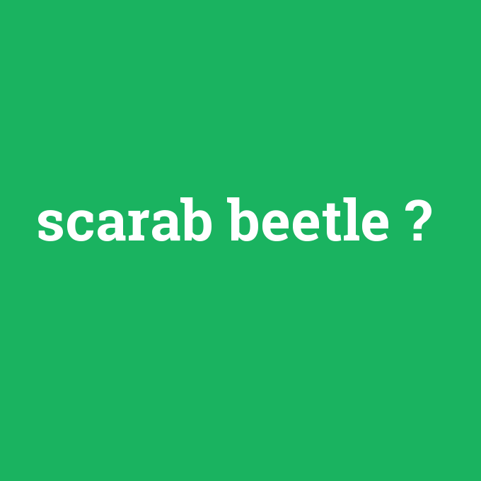 scarab beetle, scarab beetle nedir ,scarab beetle ne demek