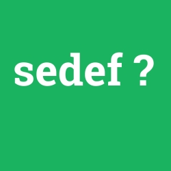 sedef foto galeri