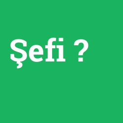 Şefi