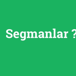Segmanlar