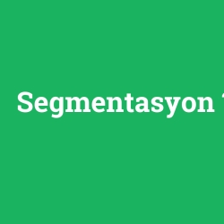 Segmentasyon