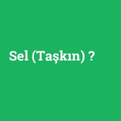 Sel (Taşkın)
